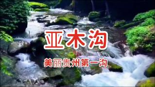 动物帮帮忙保卫家园